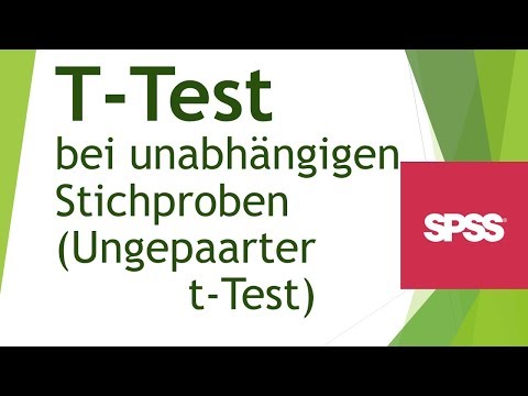 t-Test bei unabhängigen Stichproben in SPSS durchführen - Daten analysieren in SPSS (7)
