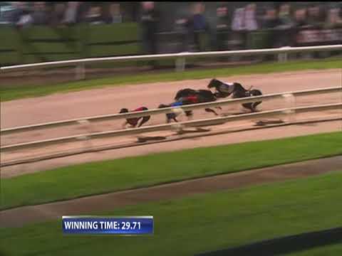 2017 BETFRED STANDARD - T1 DROOPYS PODGE