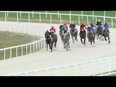 2019.09.29. 03. futam - NYERETLENEK VERSENYE (V.kat.) (szintetikus pálya)