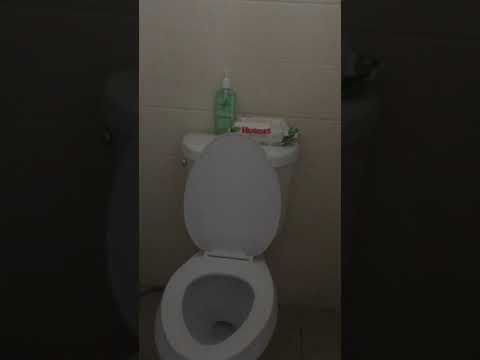 New House Tour 10.08.2019