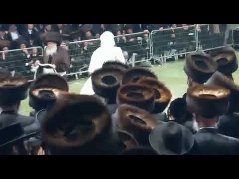 Kretchnif Yerushalayim Rebbe Dances Mitzvah Tantz At His Einikel's Wedding 16 Shvat 5782