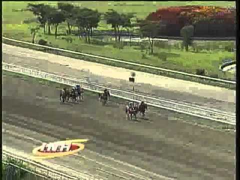 Resumen Domingo, 13 de Julio de 2014 - La Rinconada