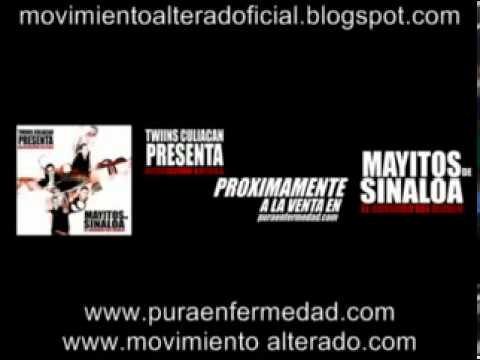 LOS MAYITOS DE SINALOA YO SOY JOAQUIN ESTUDIO 2011