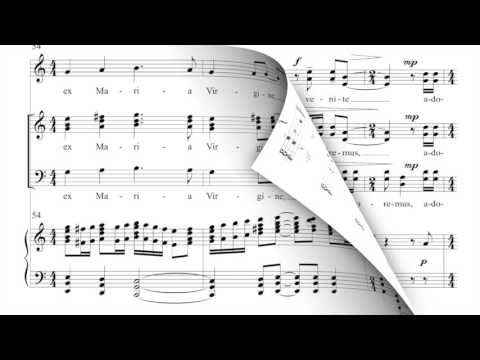 Alleluia Venite Gaudete (arr. Gary Fry)