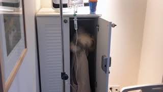 엉덩이 보형물 수술 종류 - 대둔근 중둔근 사이에 넣는 방식