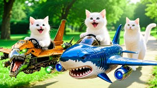 Download lagu Mama Cat Trims Fur on the Farm and Makes Tiger Hat For Kittens At Home🐾🎩🐯 mp3 Download lagu Mama Cat Trims Fur on the Farm and Makes Tiger Hat For Kittens At Home🐾🎩🐯 mp3