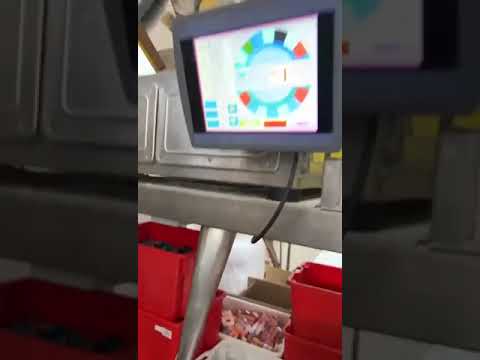 G&Partners GP 14 L - 2.5 - 0.5 P230503069