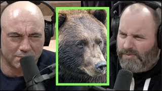 Man Had His Face Eaten Off By a Grizzly Bear w/Tom Segura | Joe Rogan