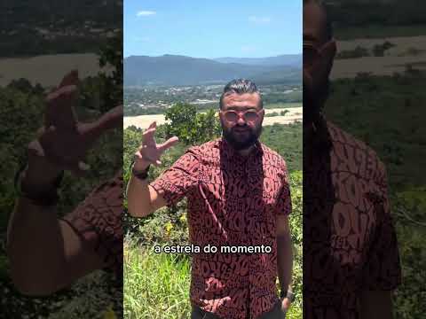 Vicente Meneguzzo-6