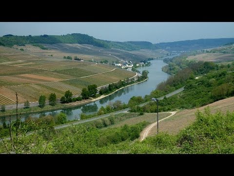 Der Moselsteig: 2. Etappe, Palzem Nittel