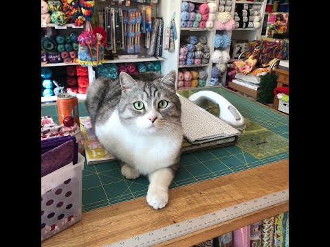 Really Abbas at Really Maria CAT BOSS!