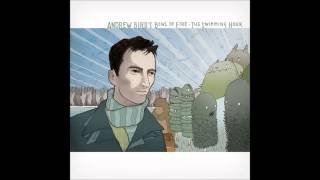 Andrew Bird- T'N'T
