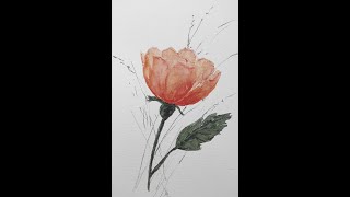 Watch This Beautiful Watercolor Poppy Come to Life!