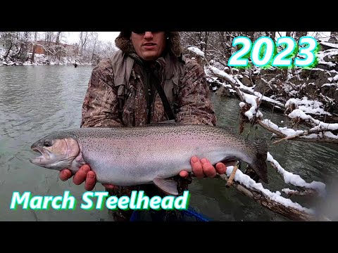 March STeelhead - Freezing for fish on the big creek 2023