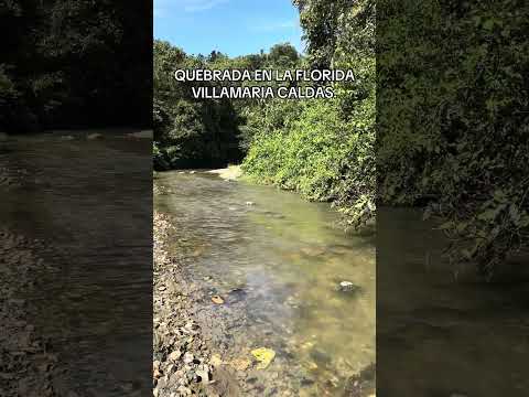 QUEBRADA EN LA FLORIDA VILLAMARIA CALDAS.
