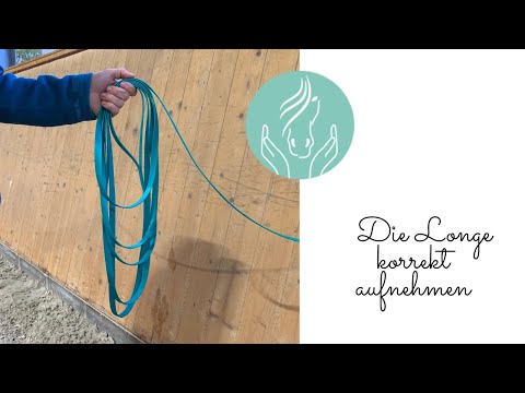 Die Longe korrekt aufnehmen