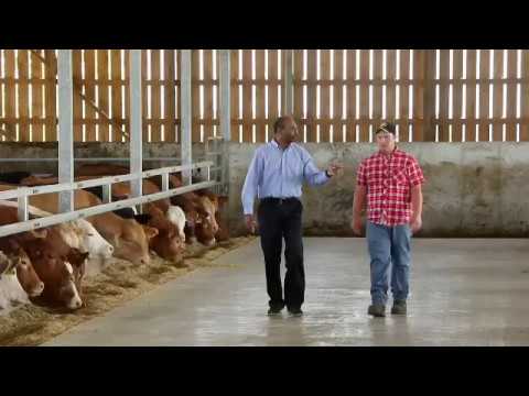 How We Feed Our Cattle Dec 13 16