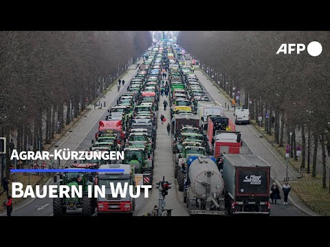 Tausende Bauern protestieren gegen Agrar-Kürzungen | AFP