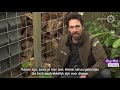 Wildcamera's filmen levende zoogdieren in tuinen