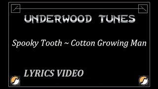 Spooky Tooth ~ Cotton Growing Man ~ 1973 ~ w/lyrics