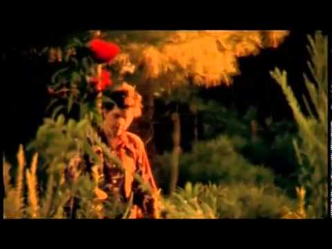 Sparklehorse - Sunshine (Official Video)