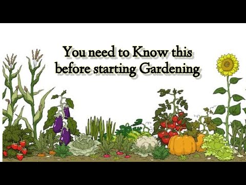 6 Things you need to know before Starting Gardening!| Gardening | Start planting at home.