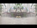 Enjoying Rain Rainy Day Rain Video