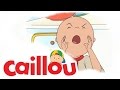 Caillou Caillou Looks For Gilbert S01E43 Cartoon For Kids