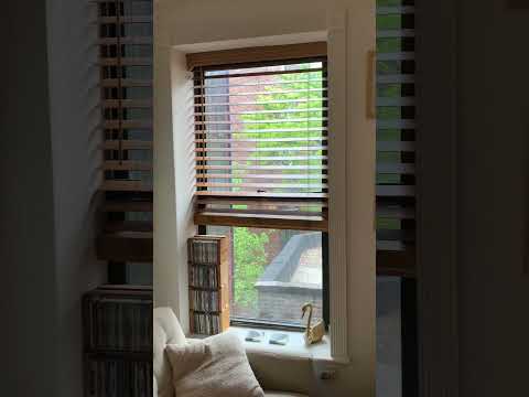 video 1