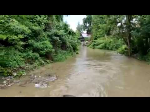 „A intrat apa pe crac” în Insula Mureșului