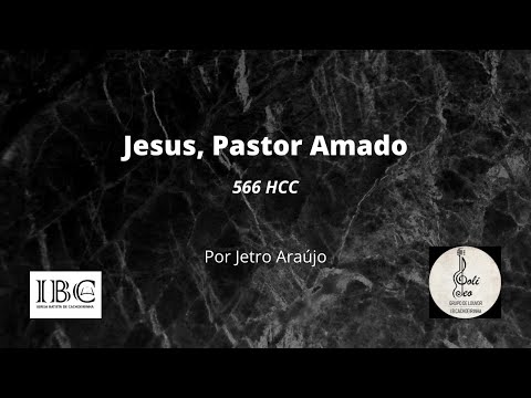 HCC 566 JESUS PASTOR AMADO com letra (por: JETRO ARAÚJO)