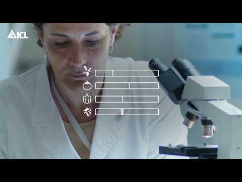 ICL Biostimulanzien BEOZ der 3. Generation: die Metabolit-Technologie