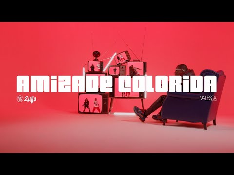 DJ Zullu, Valesca Popozuda - Amizade Colorida (Visualizer)