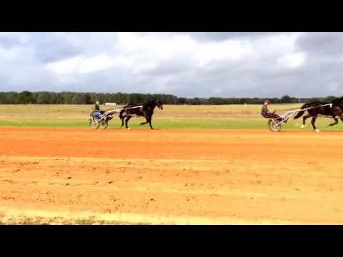 LE GAMBE (ShadyShark Hanover) and GOINDUNESIDE (Duneside Perch)