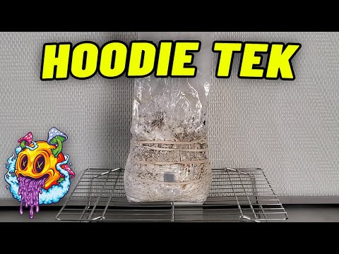 All In One Mushroom Grow Bag "HOODIE TEK" Update - S2 EP5