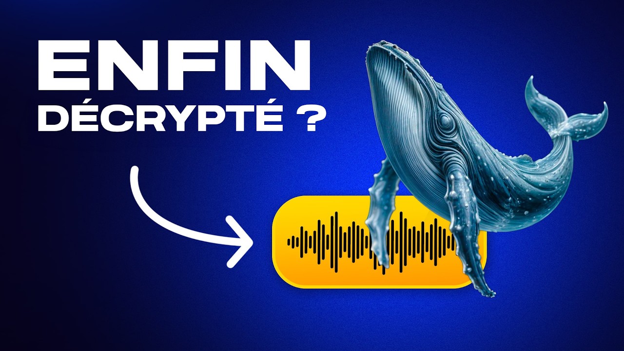 Des chercheurs en IA s’apprêtent à décoder la communication animale