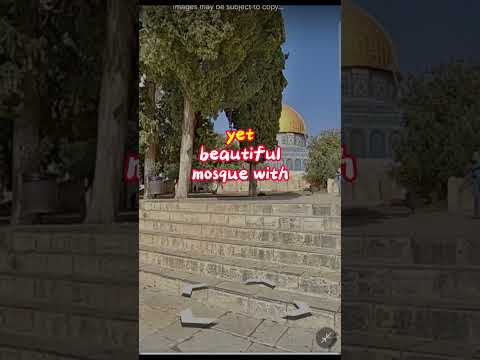 Saiba mais sobre a Mesquita Al Aqsa #jerusalem #gaza #israel #freepalestine #islam #gazaunderattack
