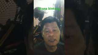 Download lagu Istana bintang #liriklagu #cover #musik #1million #fyp #shorts #lipsing mp3