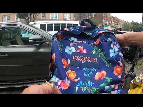 1976 Motobecane Mobylette 50V Ride to LI Railroad