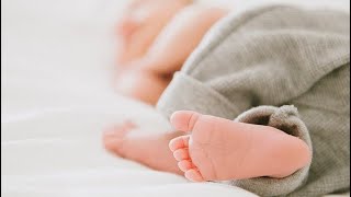 بشاره مولود بدون موسيقى