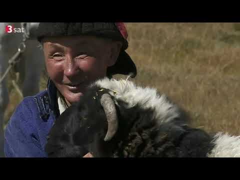 Video-Thumbnail von YouTube