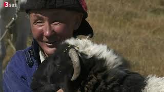 Video-Thumbnail von YouTube