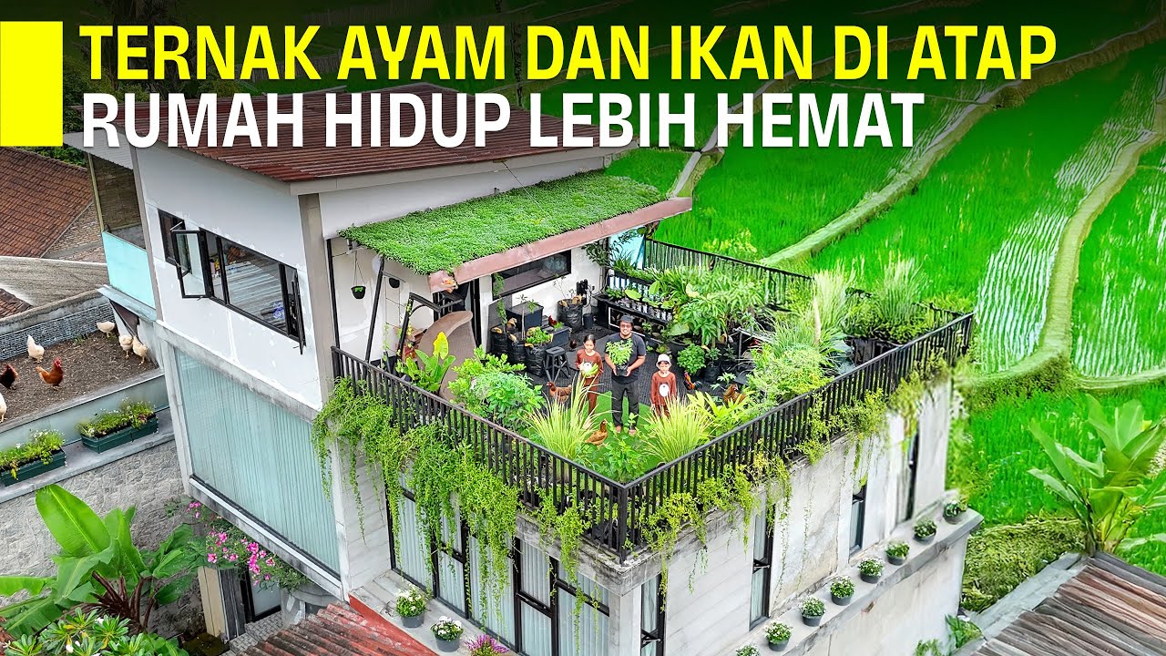 RUMAH IMPIAN! BERKEBUN DAN TERNAK DI ROOFTOP BISA HEMAT BELANJA BULANAN