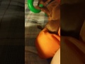 Gizmo With The Top Off Of The Tube The Greenies Were In