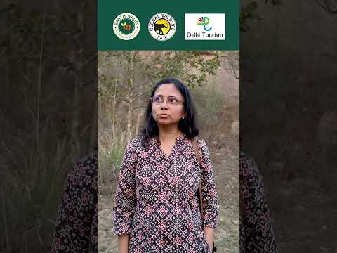 Aravalli Biodiversity Park: Hidden Reptiles Revealed