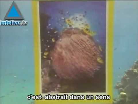 Les trésors de la mer : exposition dans les profondeurs mari