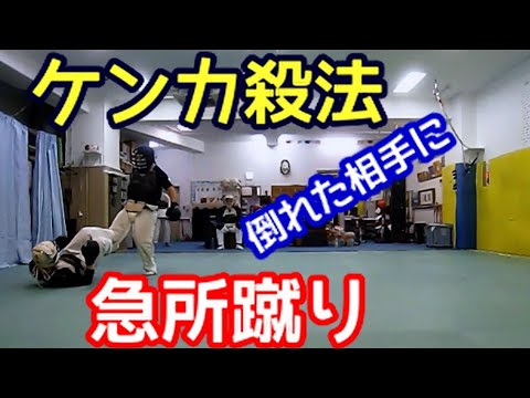 ケンカ殺法シリーズ！倒れた相手に急所蹴りの巻【日本拳法・自衛隊徒手格闘・逮捕術・空手・功夫・キックボクシング】