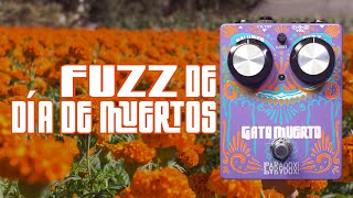 Video thumbnail for Paradox Effects Gato Muerto | Fuzz Compuerta Calavera by Paradox Effects