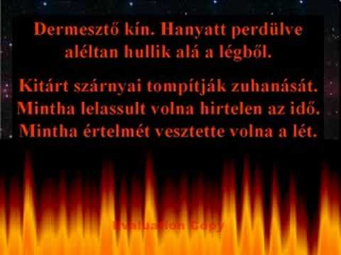 kerek féreg üzenet röviden férgek emberi méretű kezelés