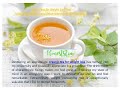 Buy Online No Laxative Effect Detox Tea for Weight Loss Fast